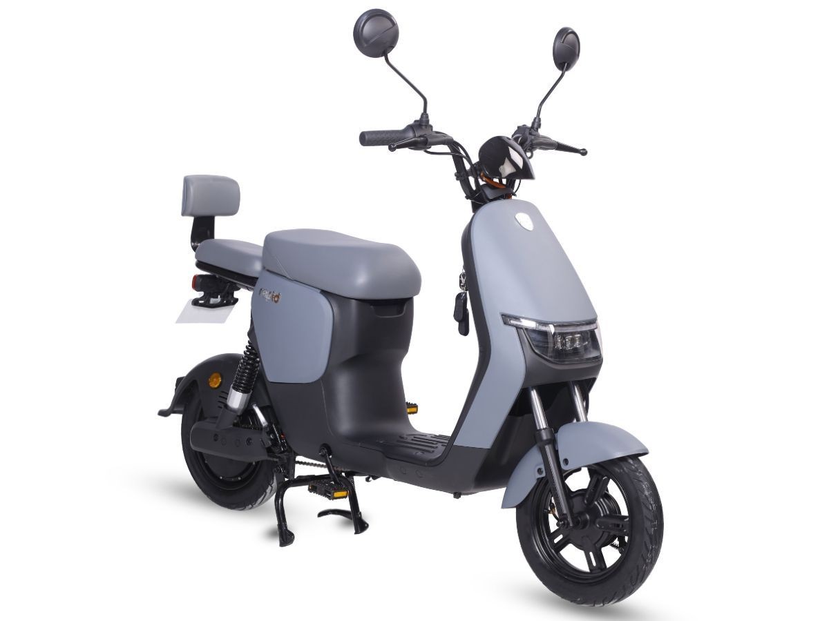 Električni bicikl 10" RAPID (250W 48V/20Ah) siva